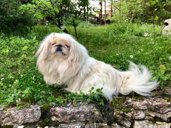 Прикрепленное изображение: IMG-20230715-WA0022 (1).jpg